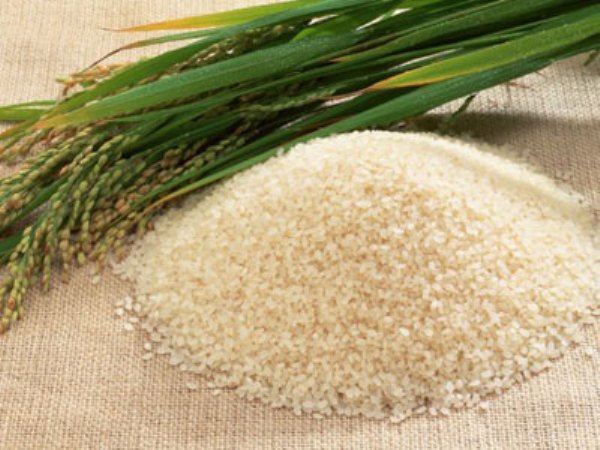 Cám gạo có thể giúp ngăn ngừa ung thư 1