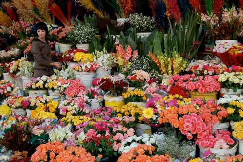 Khám phá 10 chợ hoa nổi tiếng nhất thế giới - 5