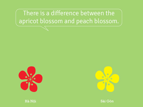 Nói đến loài hoa trưng ngày Tết ở Hà Nội người ta sẽ nghĩ đến hoa đào, còn ở Sài Gòn phải là hoa mai.