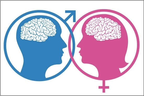 Tìm ra sự khác biệt mới giữa não bộ nam và nữ 1