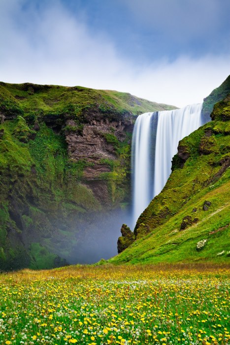Màu trắng của thác nước tại Skogafoss, Iceland hòa quyện tuyệt đối với cánh đồng hoa vàng phía dưới