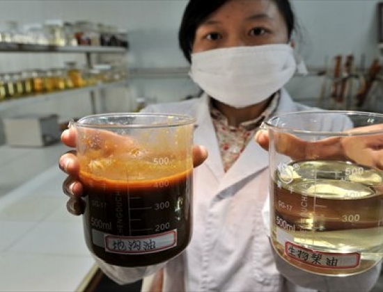 Một nhân viên phòng thí nghiệm với cốc đựng dầu ăn bẩn chưa qua xử lý (trái).