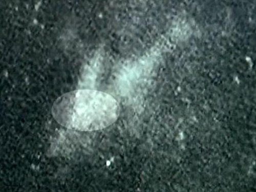 Hình ảnh vệ tinh từ trang web TomNod mà phi công Michael Hoebel cho thấy vật thể giống máy bay Boeing trong chuyến MH370 của Malaysia Airlines. Ảnh: WIVB