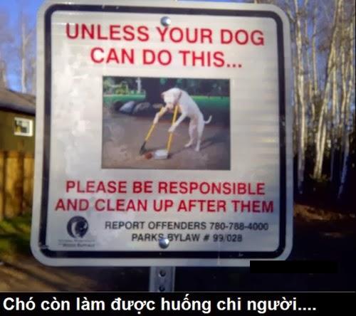 Chó còn tự vệ sinh sạch sẽ vậy huống chi là người.