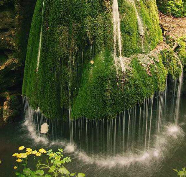 Thác nước tại khu rừng Romania lại gây ấn tượng bởi vẻ độc đáo của từng làn nước