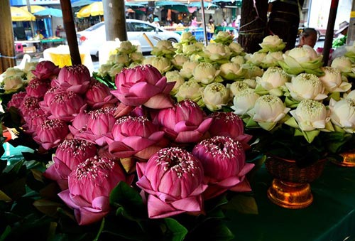 Khám phá 10 chợ hoa nổi tiếng nhất thế giới - 7